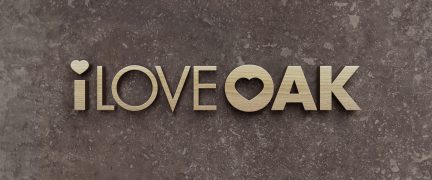 I Love Oak Logo Design